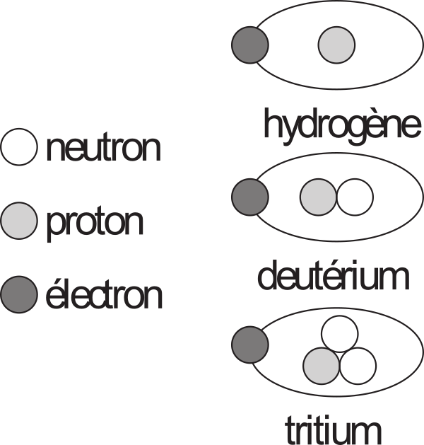 image4.png