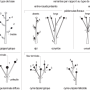 image4.png