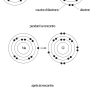 image7.png