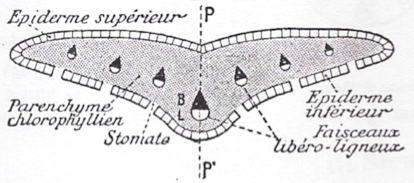 image8.png