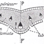 image8.png