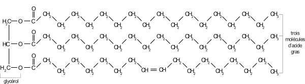 image9.png