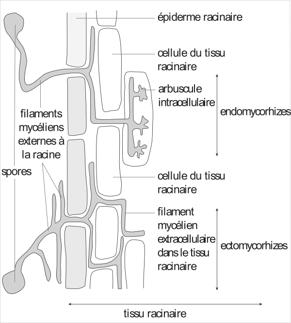 image09.png