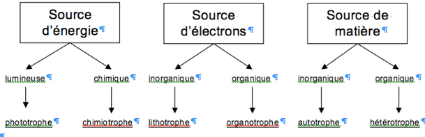 image10.png