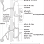 image15.png
