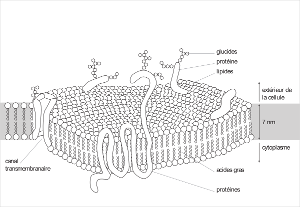 image5.png