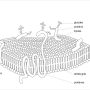 image5.png