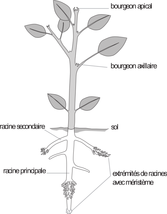 image6.png