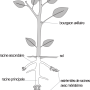 image6.png