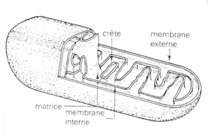 image9.png