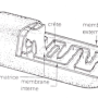image9.png