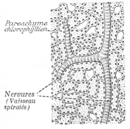 image2.png