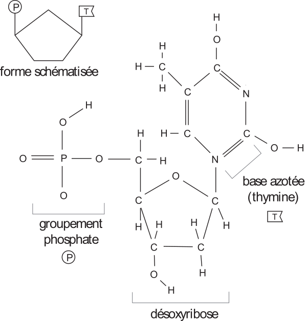 image4.png