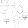 image4.png