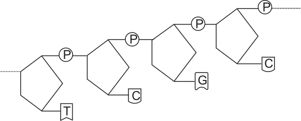 image5.png