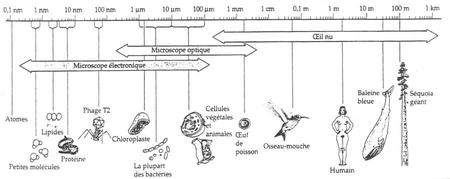 image2.jpeg