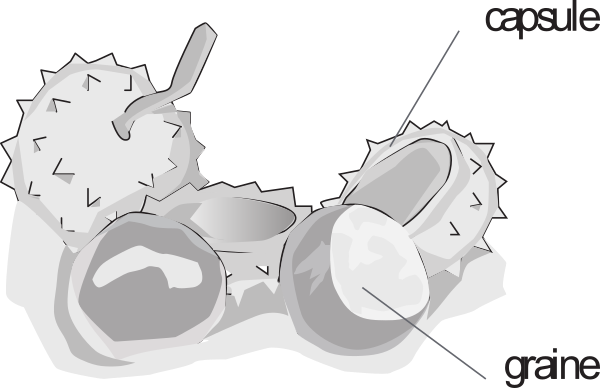 image4.png