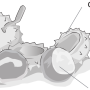 image4.png