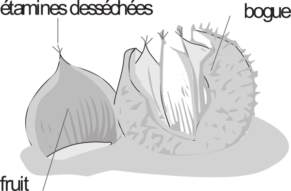 image5.png