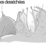 image5.png