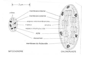 image6.jpeg