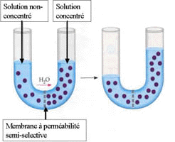 image7.gif