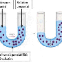 image7.gif