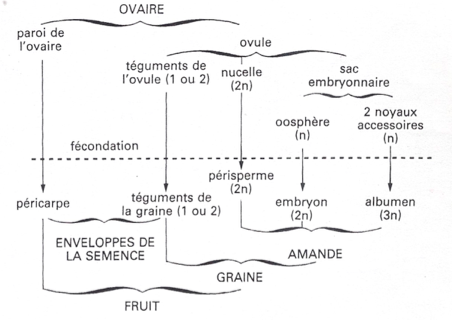 image8.png