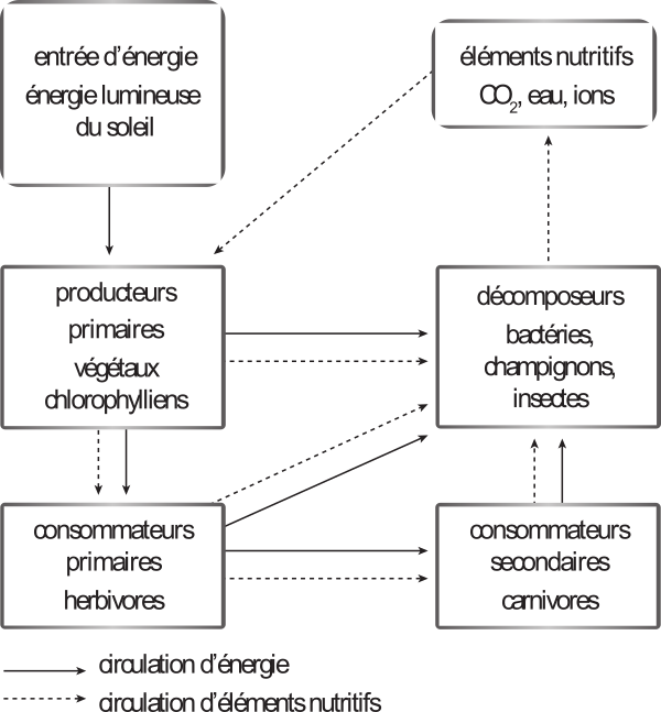 image011.png