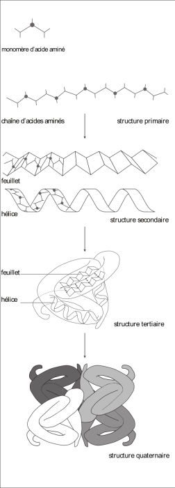 image012.png