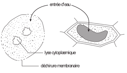 image10.png