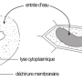 image10.png