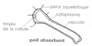 image13.png