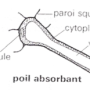 image13.png