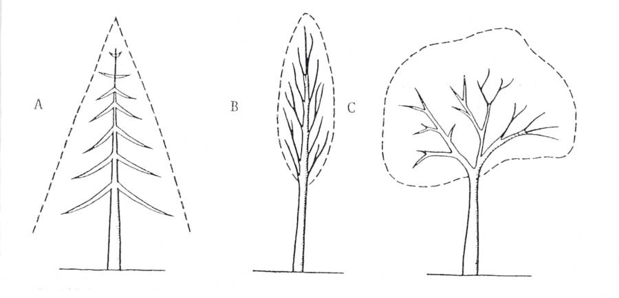 image18.jpeg