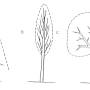 image18.jpeg