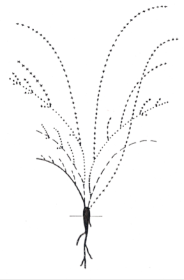 image19.png