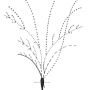 image19.png