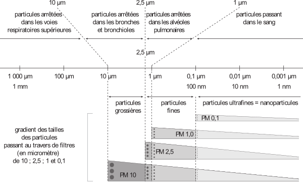 image2.png