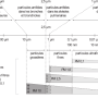 image2.png
