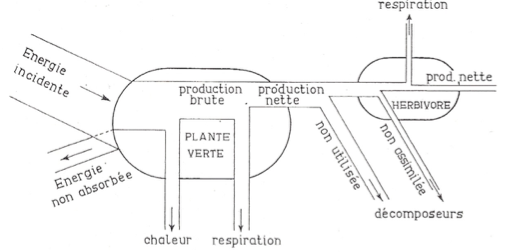 image21.png