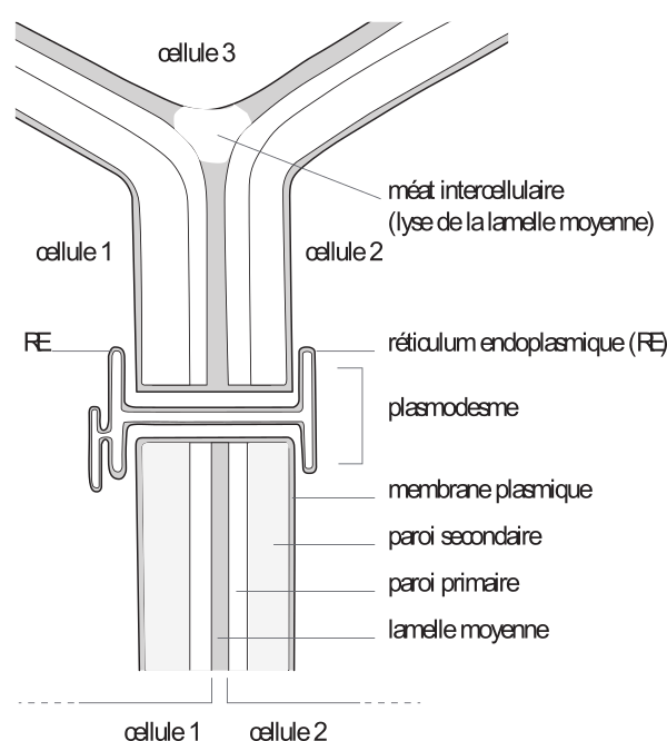 image6.png
