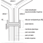 image6.png