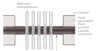 image7.png