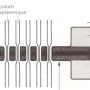 image7.png