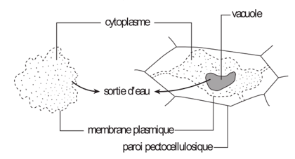 image8.png