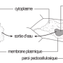 image8.png