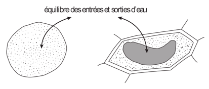 image9.png