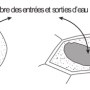 image9.png