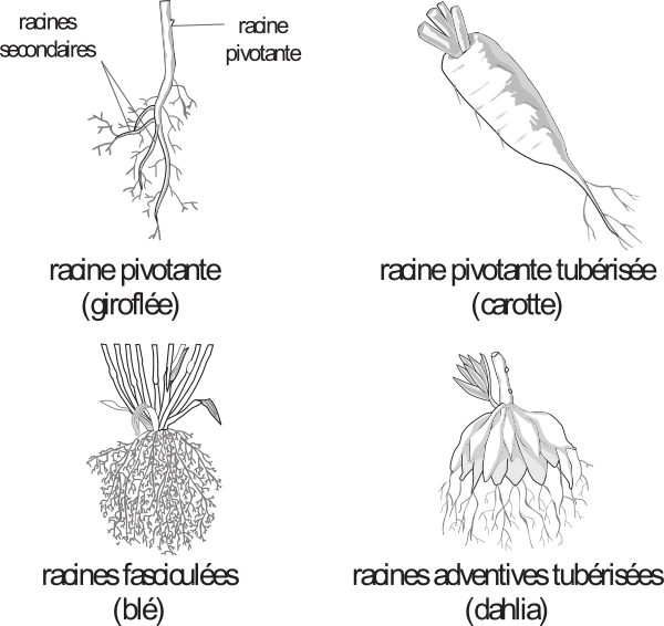 image1.png